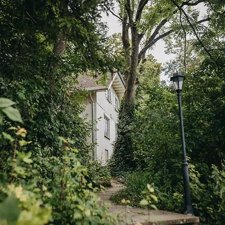 公寓 Waldmaise Hayingen