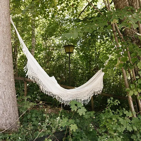 公寓 Waldmaise Hayingen