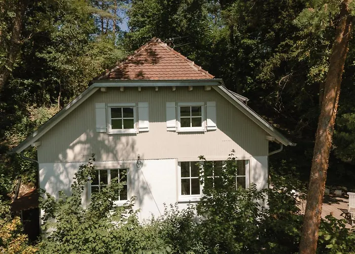 Lejlighed Waldmaise Hayingen