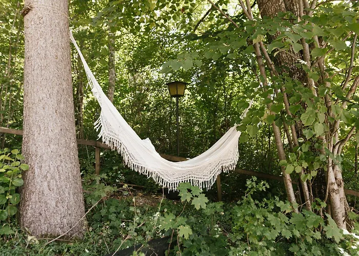 Lejlighed Waldmaise Hayingen